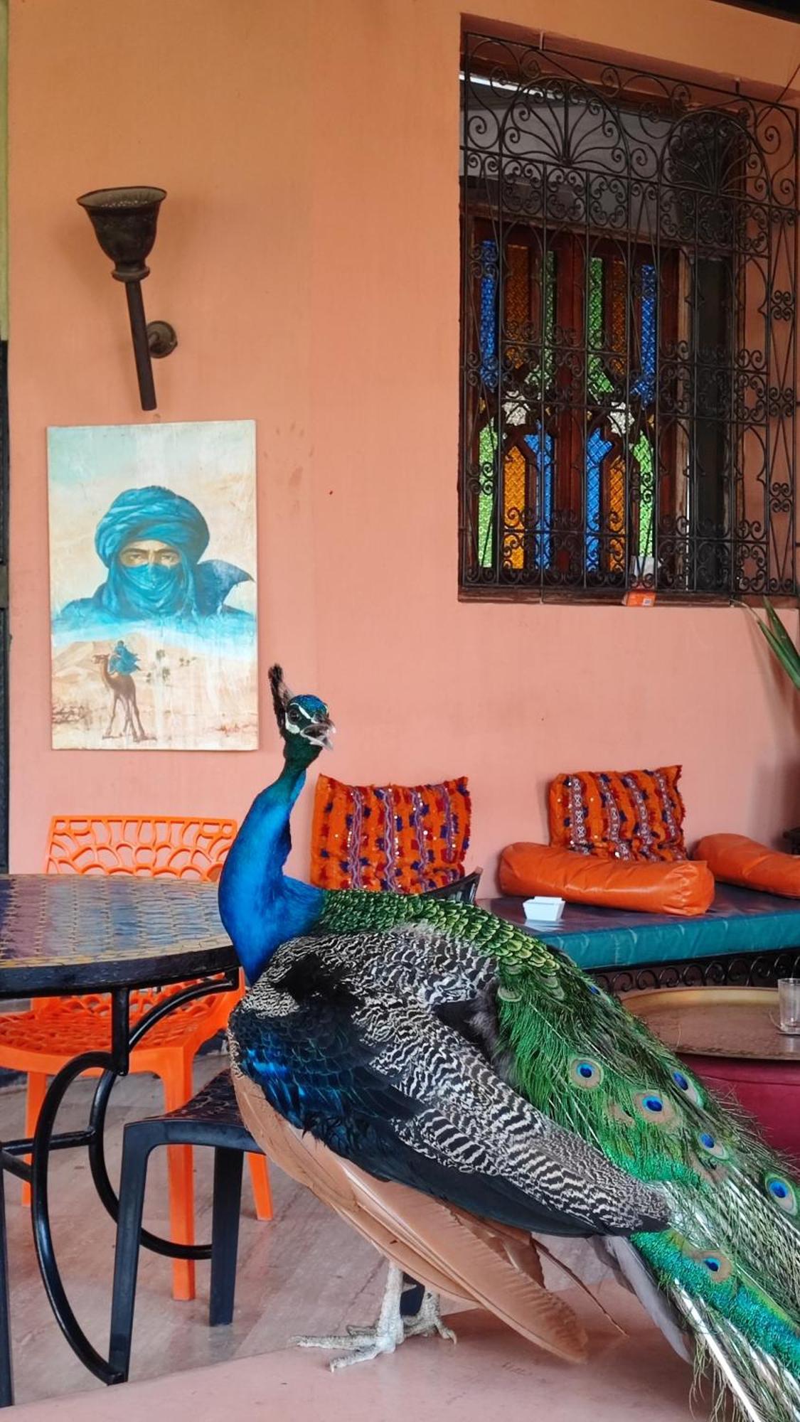 Las Palmeras Guest House Douar Caid Layadi Ngoại thất bức ảnh